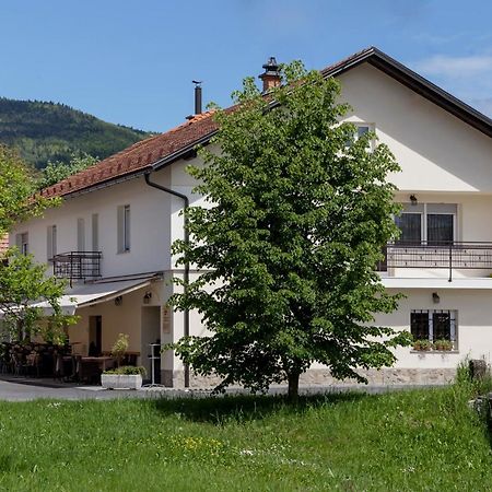 Guesthouse & Apartments Pri Stani Zerovnica Экстерьер фото
