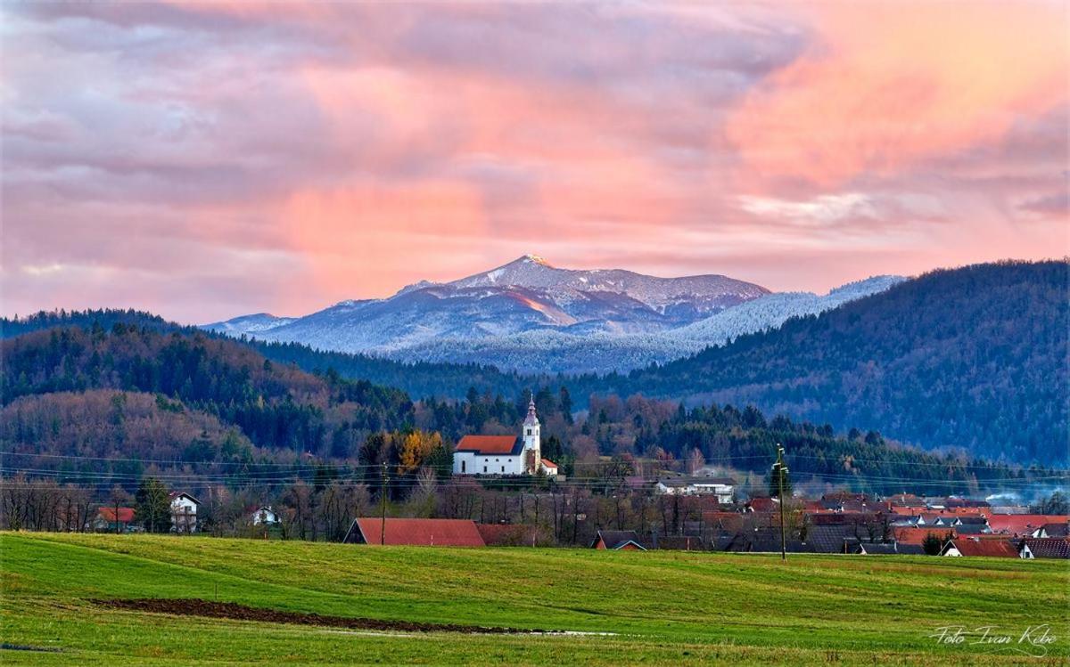 Guesthouse & Apartments Pri Stani Zerovnica Экстерьер фото